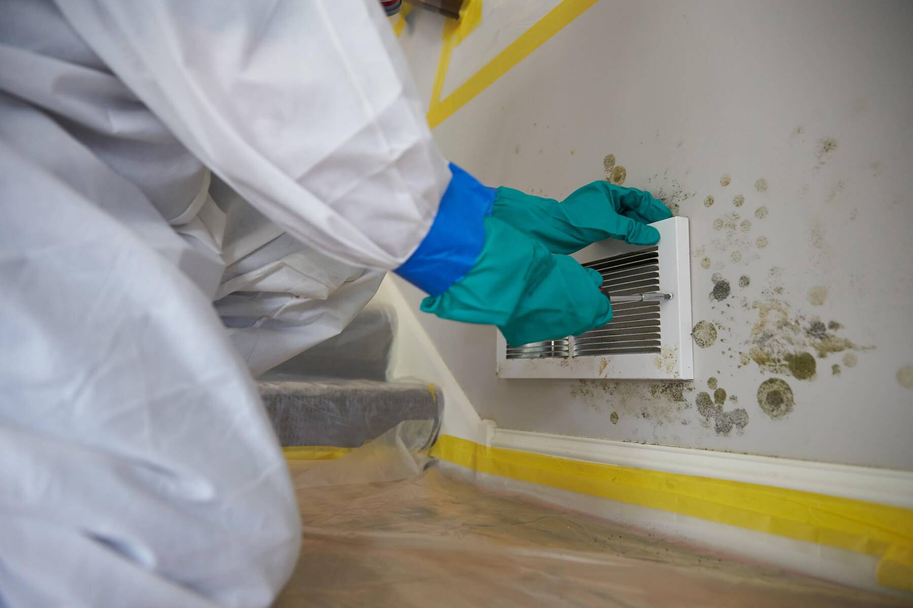 Mold Remediation